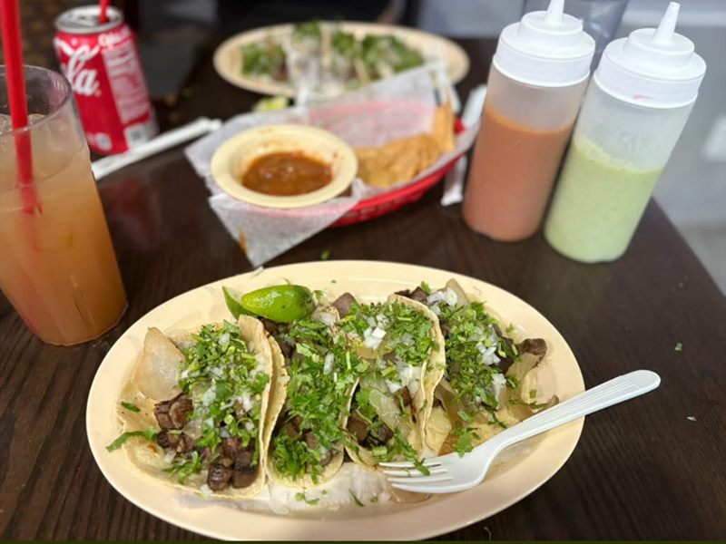 MAYAMEX RESTAURANT food